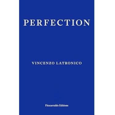 Perfection book cover 2.jpg